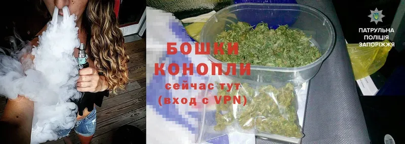 Шишки марихуана конопля  купить наркотики цена  mega зеркало  Верхоянск 